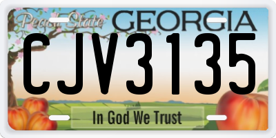 GA license plate CJV3135