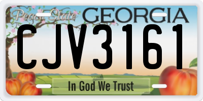 GA license plate CJV3161