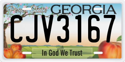 GA license plate CJV3167