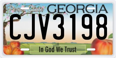 GA license plate CJV3198