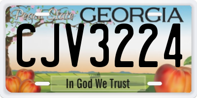 GA license plate CJV3224