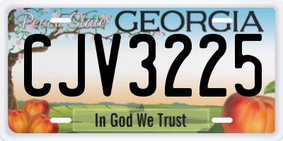 GA license plate CJV3225