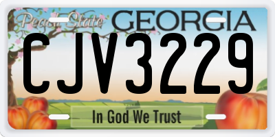 GA license plate CJV3229