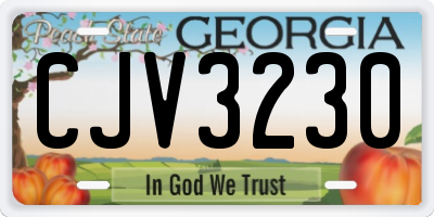 GA license plate CJV3230