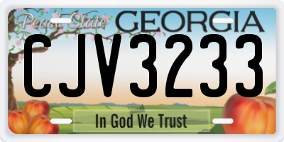 GA license plate CJV3233