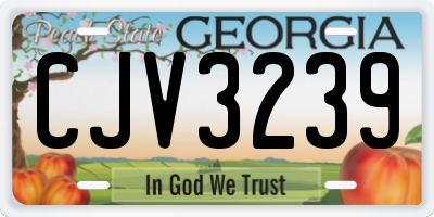GA license plate CJV3239