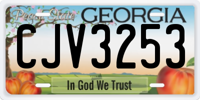 GA license plate CJV3253