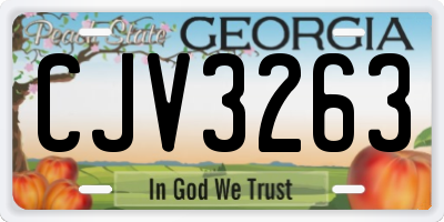 GA license plate CJV3263