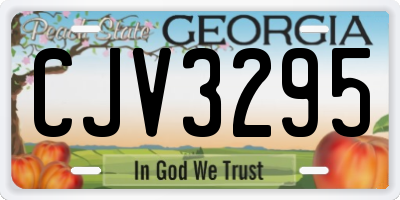 GA license plate CJV3295