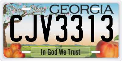 GA license plate CJV3313