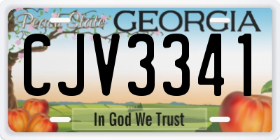 GA license plate CJV3341