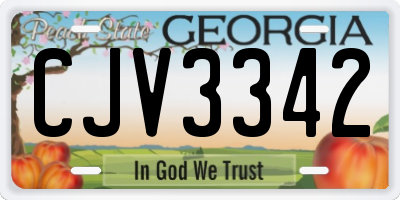 GA license plate CJV3342