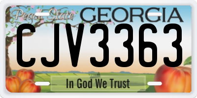 GA license plate CJV3363
