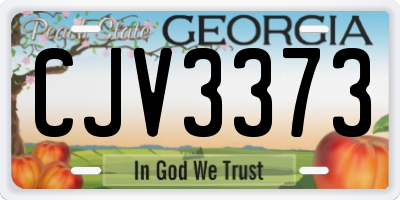 GA license plate CJV3373