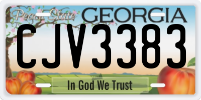 GA license plate CJV3383