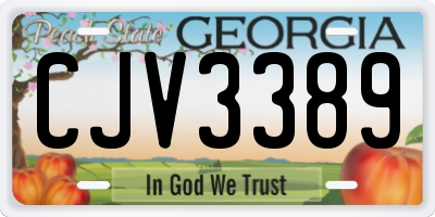 GA license plate CJV3389