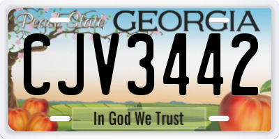 GA license plate CJV3442