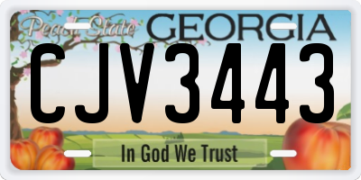 GA license plate CJV3443