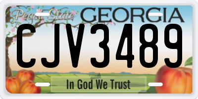 GA license plate CJV3489