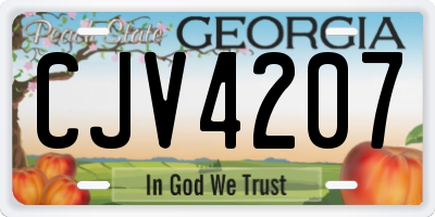 GA license plate CJV4207