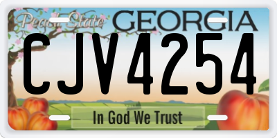 GA license plate CJV4254