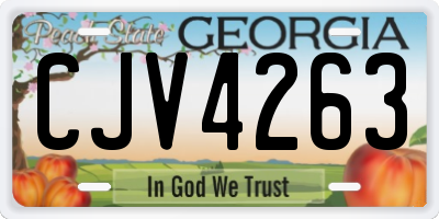 GA license plate CJV4263
