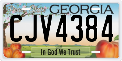 GA license plate CJV4384