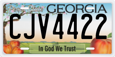 GA license plate CJV4422