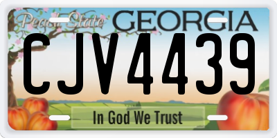 GA license plate CJV4439