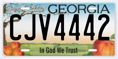 GA license plate CJV4442
