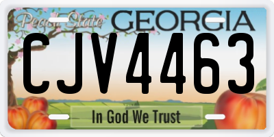 GA license plate CJV4463