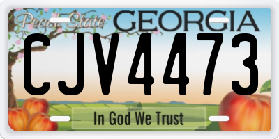 GA license plate CJV4473