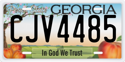 GA license plate CJV4485