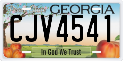 GA license plate CJV4541