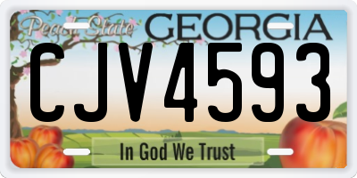 GA license plate CJV4593