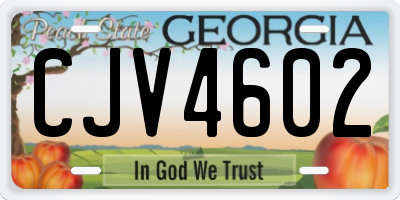 GA license plate CJV4602