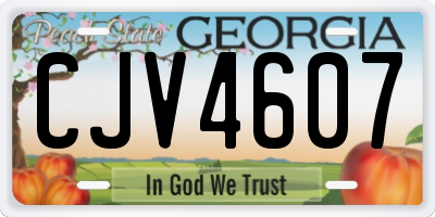 GA license plate CJV4607