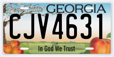GA license plate CJV4631