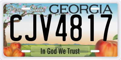 GA license plate CJV4817