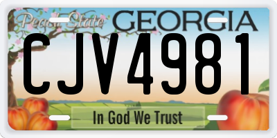 GA license plate CJV4981