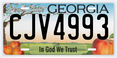 GA license plate CJV4993