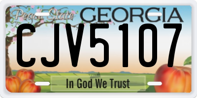 GA license plate CJV5107