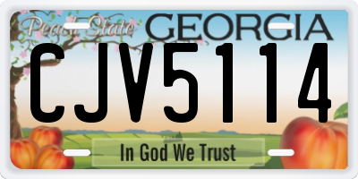 GA license plate CJV5114