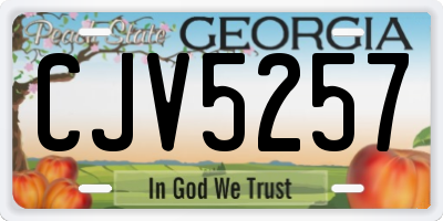 GA license plate CJV5257