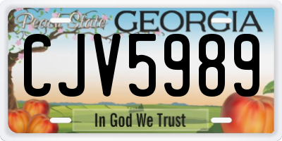 GA license plate CJV5989