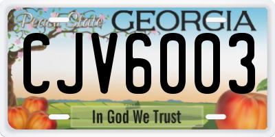 GA license plate CJV6003