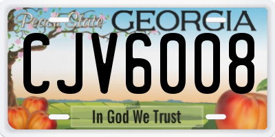 GA license plate CJV6008