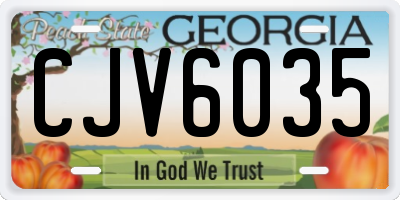 GA license plate CJV6035