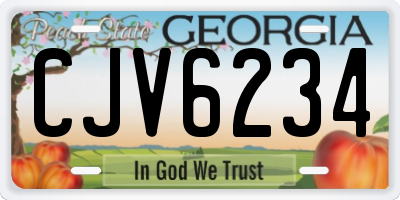 GA license plate CJV6234