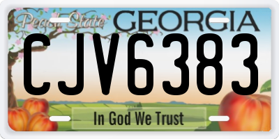 GA license plate CJV6383